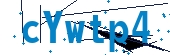 recaptcha