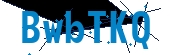 recaptcha