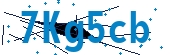 recaptcha