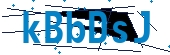 recaptcha
