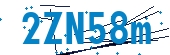 recaptcha