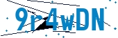recaptcha