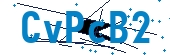 recaptcha