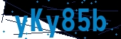 recaptcha